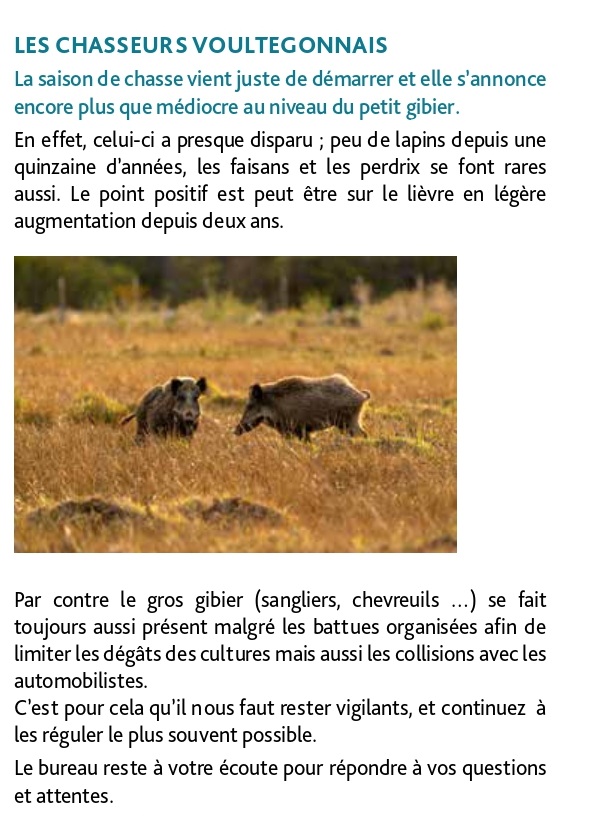 Chasseurs