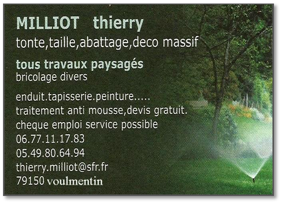 Carte de visite - Thierry Milliot